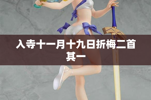 入寺十一月十九日折梅二首其一