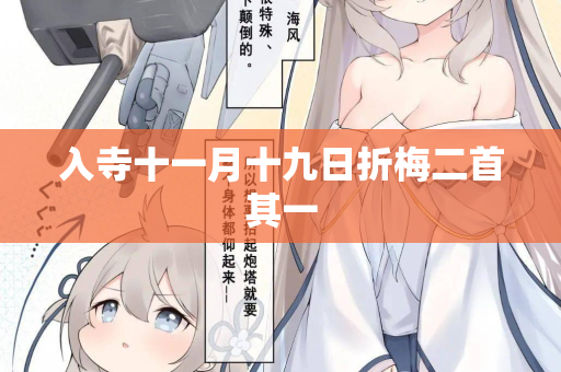 入寺十一月十九日折梅二首其一