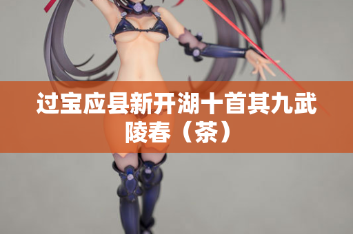 过宝应县新开湖十首其九武陵春（茶）  第2张