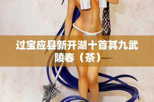 过宝应县新开湖十首其九武陵春（茶）