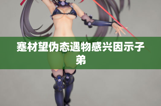 蹇材望伪态遇物感兴因示子弟