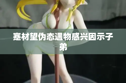 蹇材望伪态遇物感兴因示子弟