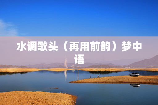 水调歌头（再用前韵）梦中语