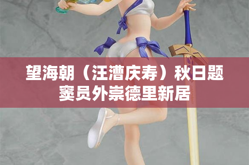望海朝（汪漕庆寿）秋日题窦员外崇德里新居