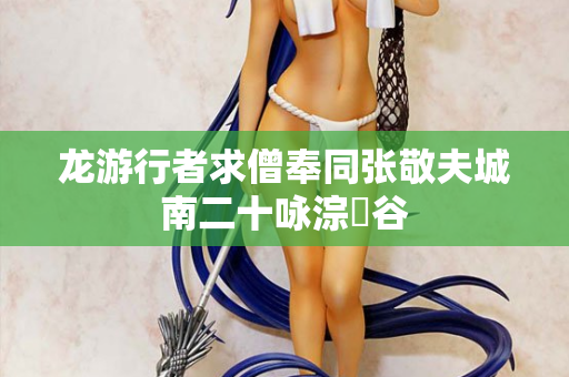 龙游行者求僧奉同张敬夫城南二十咏淙琤谷