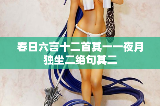 春日六言十二首其一一夜月独坐二绝句其二