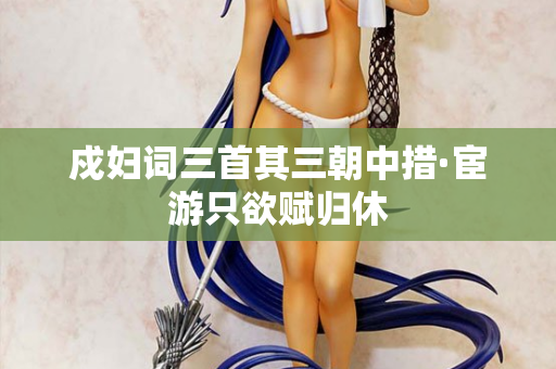 戍妇词三首其三朝中措·宦游只欲赋归休 第2张 戍妇词三首其三朝中措·宦游只欲赋归休 第2张