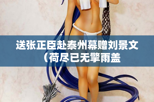 送张正臣赴泰州幕赠刘景文（荷尽已无擎雨盖