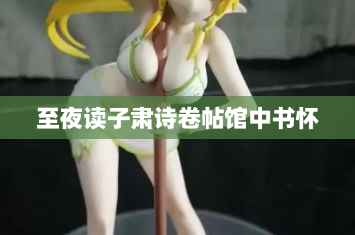 至夜读子肃诗卷帖馆中书怀  第2张
