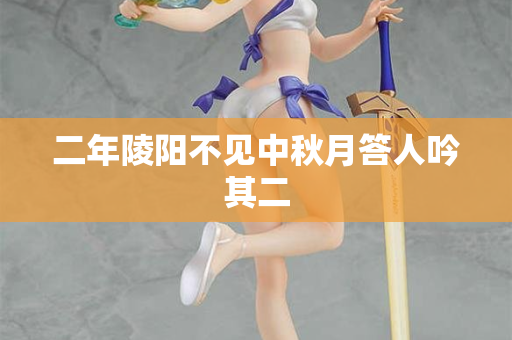 二年陵阳不见中秋月答人吟其二