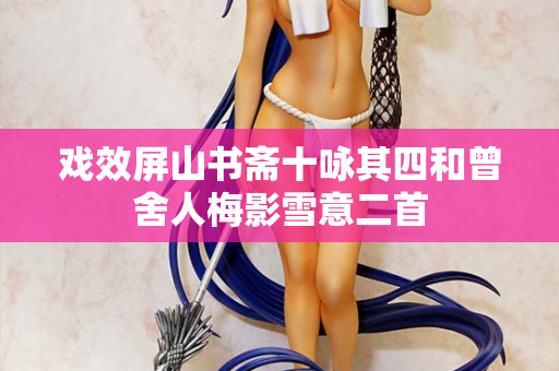 戏效屏山书斋十咏其四和曾舍人梅影雪意二首