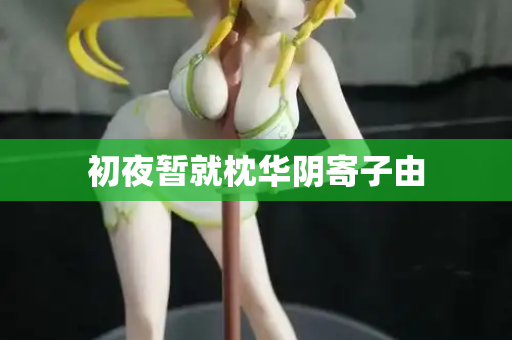 初夜暂就枕华阴寄子由