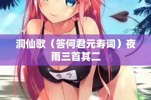 洞仙歌（答何君元寿词）夜雨三首其二