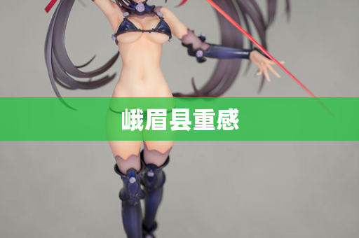 峨眉县重感