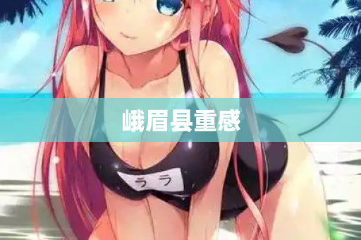 峨眉县重感