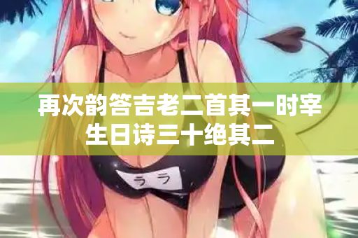再次韵答吉老二首其一时宰生日诗三十绝其二  第2张