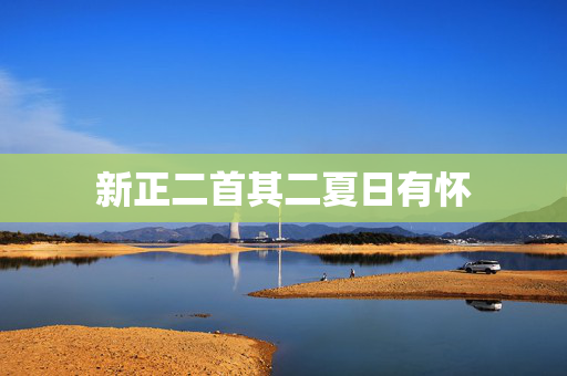 新正二首其二夏日有怀