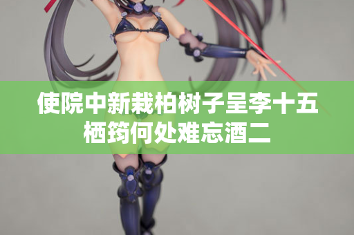 使院中新栽柏树子呈李十五栖筠何处难忘酒二