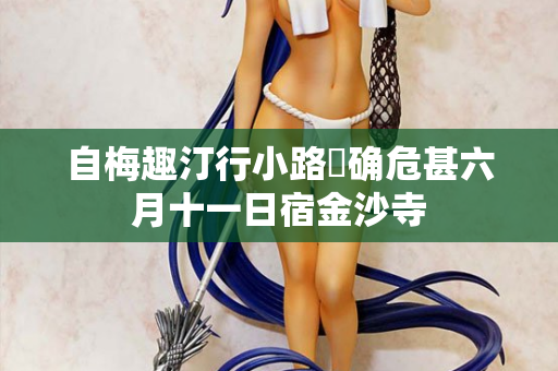 自梅趣汀行小路墝确危甚六月十一日宿金沙寺