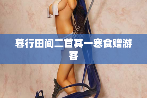 暮行田间二首其一寒食赠游客