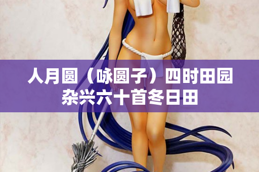 人月圆（咏圆子）四时田园杂兴六十首冬日田