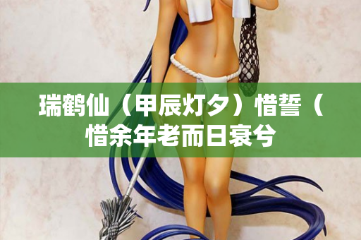 瑞鹤仙（甲辰灯夕）惜誓（惜余年老而日衰兮