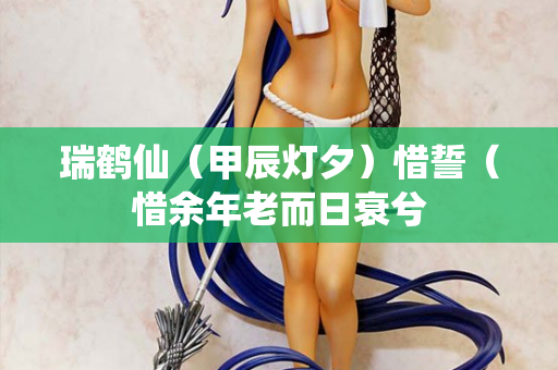 瑞鹤仙(甲辰灯夕)惜誓(惜余年老而日衰兮 第2张 瑞鹤仙(甲辰灯夕)惜誓(惜余年老而日衰兮 第2张