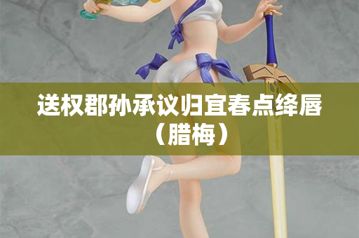 送权郡孙承议归宜春点绛唇（腊梅）