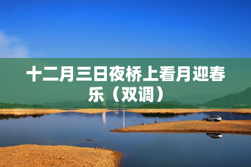 十二月三日夜桥上看月迎春乐（双调）