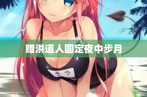 赠洪道人圆定夜中步月