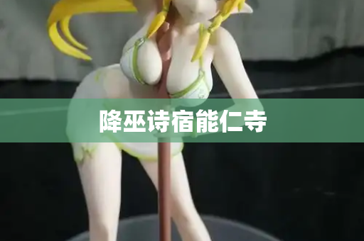 降巫诗宿能仁寺