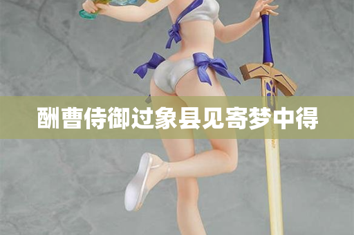 酬曹侍御过象县见寄梦中得  第2张