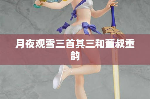 月夜观雪三首其三和董叔重韵