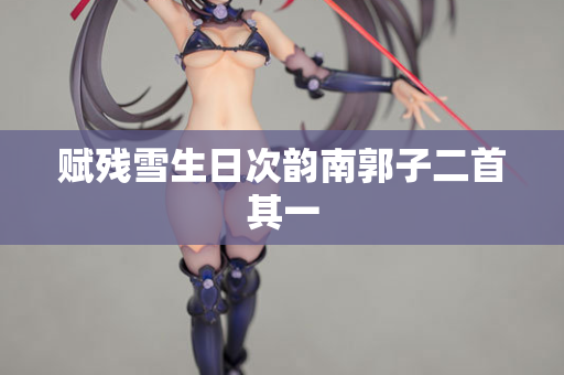 赋残雪生日次韵南郭子二首其一