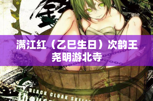 满江红（乙巳生日）次韵王尧明游北寺