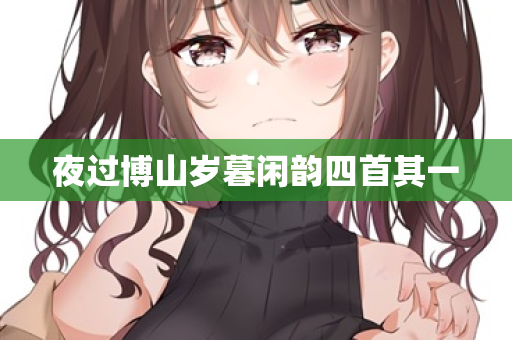 夜过博山岁暮闲韵四首其一