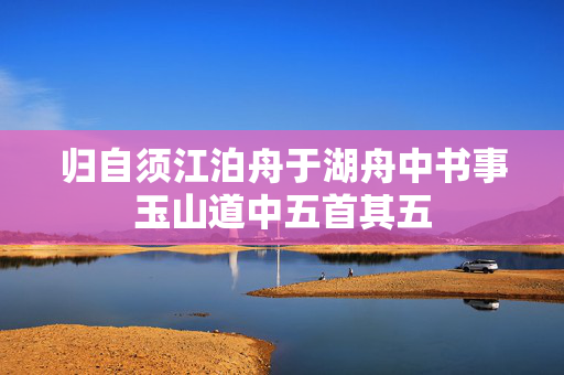 归自须江泊舟于湖舟中书事玉山道中五首其五
