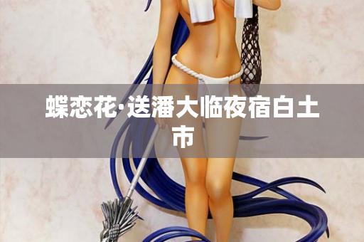 蝶恋花·送潘大临夜宿白土市