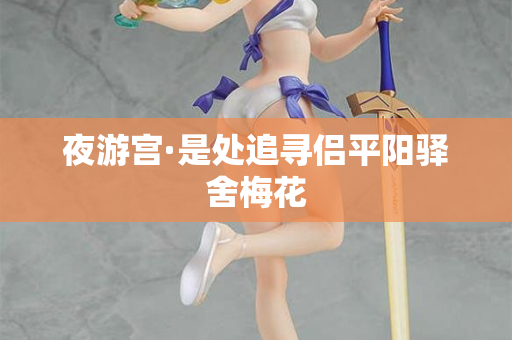 夜游宫·是处追寻侣平阳驿舍梅花