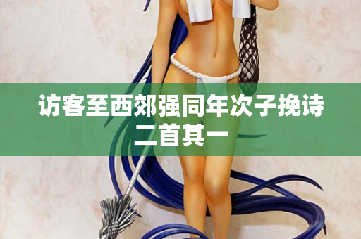访客至西郊强同年次子挽诗二首其一