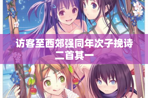 访客至西郊强同年次子挽诗二首其一