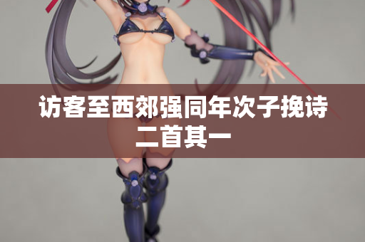 访客至西郊强同年次子挽诗二首其一