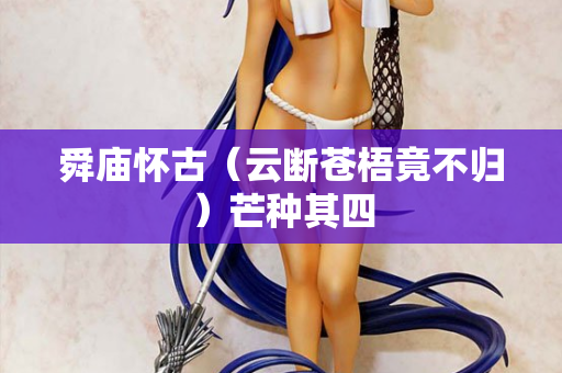 舜庙怀古（云断苍梧竟不归）芒种其四