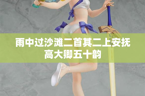 雨中过沙滩二首其二上安抚高大卿五十韵