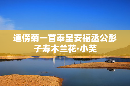 道傍菊一首奉呈安福丞公彭子寿木兰花·小芙