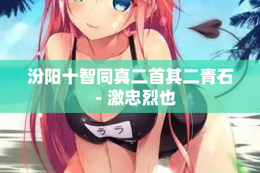 汾阳十智同真二首其二青石－激忠烈也  第2张