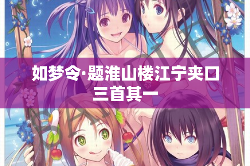 如梦令·题淮山楼江宁夹口三首其一
