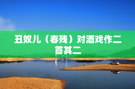 丑奴儿（春残）对酒戏作二首其二