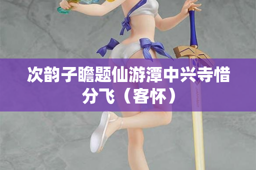 次韵子瞻题仙游潭中兴寺惜分飞（客怀）