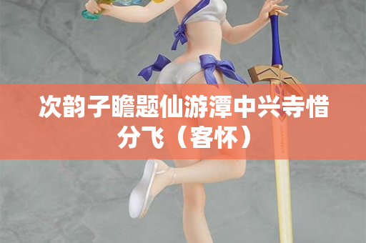 次韵子瞻题仙游潭中兴寺惜分飞（客怀）
